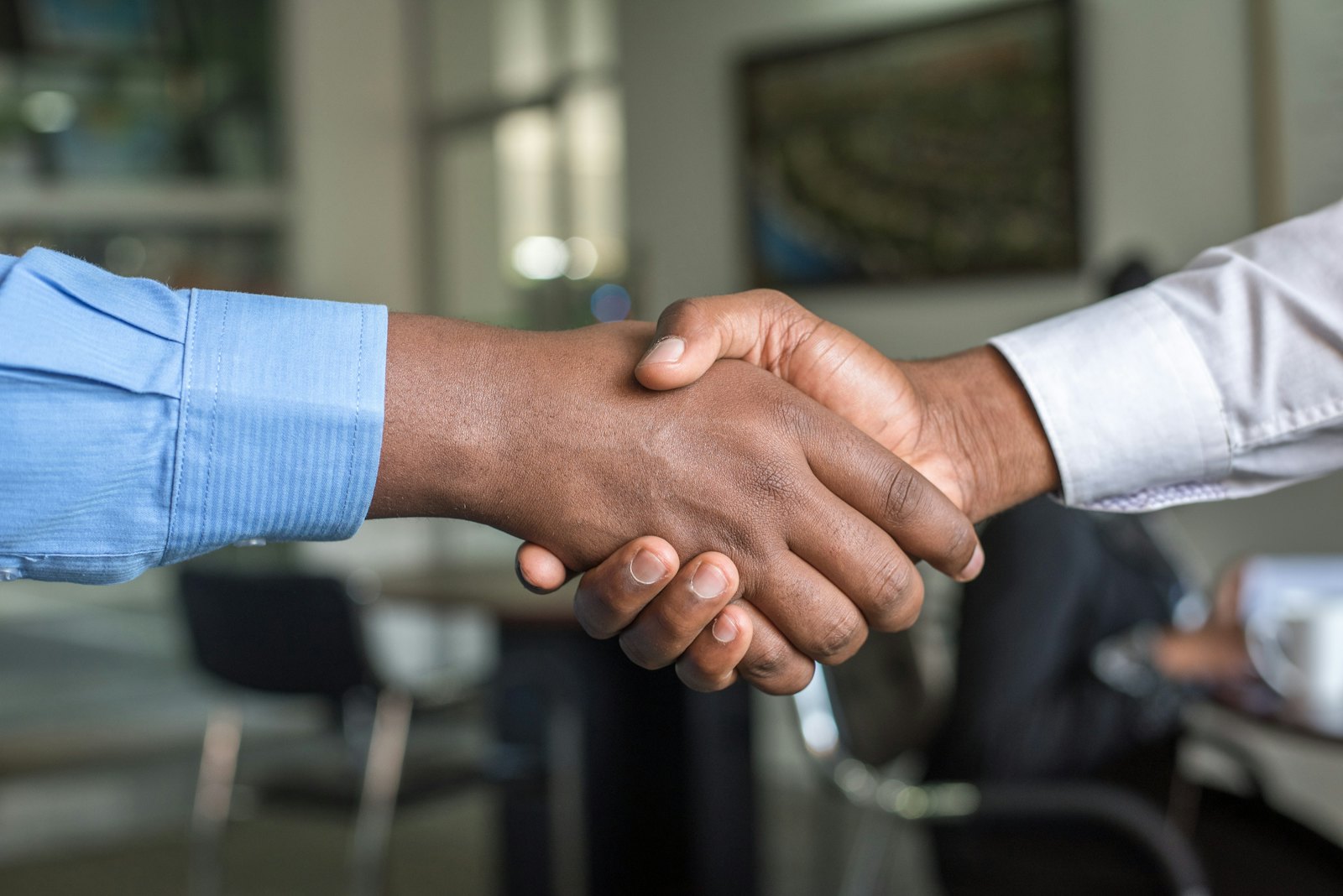Investor and Business Visa